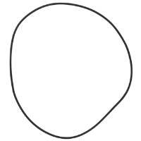 AGCO O-RING 72493380 Parts - True Ag & Turf