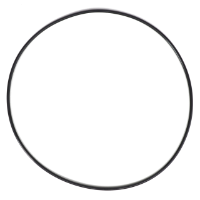 AGCO O-Ring AG602787 Parts - True Ag & Turf