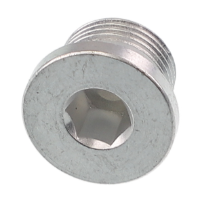 AGCO PLUG ACP0445950 Parts - True Ag & Turf