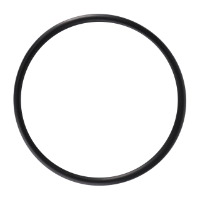 AGCO O-RING 4223857M1 Parts - True Ag & Turf