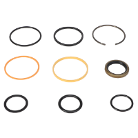 AGCO SEALS KIT 71182281 Parts - True Ag & Turf