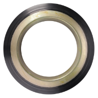 AGCO Oil Seal, Final Drive 4305911M1 Parts - True Ag & Turf