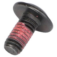 AGCO TORX HEAD SCREW ACX2188670  - True Ag & Turf