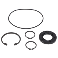 AGCO HYDRAULIC MOTOR SEAL KIT WR24097 Parts - True Ag & Turf