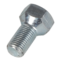 AGCO SCREW 72089012 Parts - True Ag & Turf