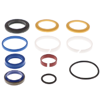 AGCO SEAL KIT AL60019193 Parts - True Ag & Turf