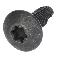 AGCO TORX HEAD SCREW CH9X-2044