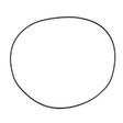 AGCO O-RING 6285713M1 Parts - True Ag & Turf