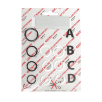 AGCO SEAL KIT 72455504 Parts - True Ag & Turf