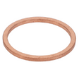 AGCO SEALING RING 1442211X1 Parts - True Ag & Turf