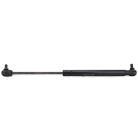 AGCO Gas Strut, Window 3557029M91 Parts - True Ag & Turf
