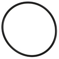 AGCO O-RING 3756197M1 Parts - True Ag & Turf
