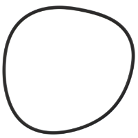 AGCO O-RING 72252559 Parts - True Ag & Turf