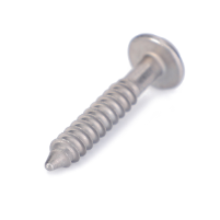 AGCO Oval Head Screw 72453082 Parts - True Ag & Turf