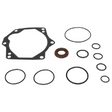 AGCO SEALS KIT 700705450 Parts - True Ag & Turf