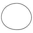 AGCO O-RING 72098747 Parts - True Ag & Turf