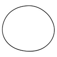 AGCO O-RING 72098747 Parts - True Ag & Turf