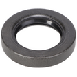 AGCO SEAL 155318A Parts - True Ag & Turf