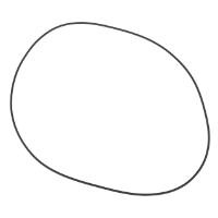 AGCO O-Ring 72420202 Parts - True Ag & Turf
