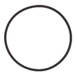 AGCO O-RING 376946X1 Parts - True Ag & Turf