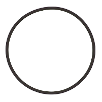 AGCO O-RING 376946X1 Parts - True Ag & Turf