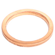 AGCO SEALING RING 1118673 Parts - True Ag & Turf