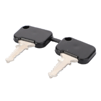 AGCO Key, Door Lock 3902584M91 Parts - True Ag & Turf