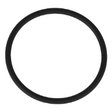 AGCO O-RING 70925916 Parts - True Ag & Turf