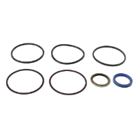 AGCO SEAL KIT SN12039 Parts - True Ag & Turf