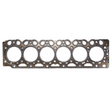 AGCO Head Gasket 72613175 Parts - True Ag & Turf