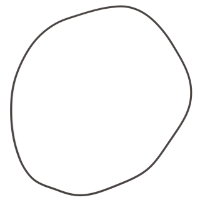 AGCO O-RING 72429900 Parts - True Ag & Turf
