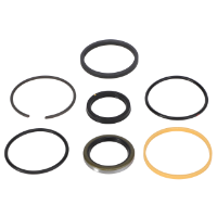 AGCO SEALS KIT 1701259 Parts - True Ag & Turf