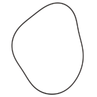 AGCO O-Ring, Planetary Drive V34051300 Parts - True Ag & Turf