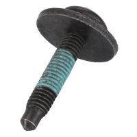 AGCO SCREW 72665620 Parts - True Ag & Turf