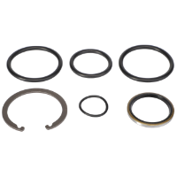 AGCO SEAL KIT 700709302 Parts - True Ag & Turf