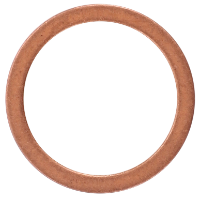 AGCO SEALING RING 390839X1 Parts - True Ag & Turf