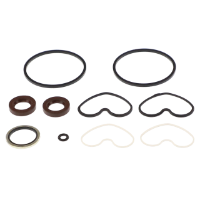 AGCO SEALS KIT 1810760M91 Parts - True Ag & Turf