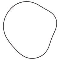 AGCO GASKET 3380351M1 Parts - True Ag & Turf