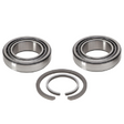 AGCO Tapered Roller Bearing Assembly 74357289 Parts - True Ag & Turf