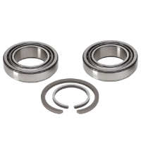 AGCO Tapered Roller Bearing Assembly 74357289 Parts - True Ag & Turf