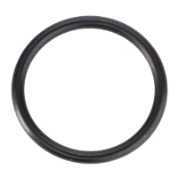 AGCO O-Ring, √ò 24 X 2,5 mm 72313451 Parts - True Ag & Turf