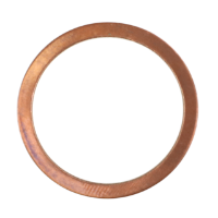 AGCO SEALING RING 1440704X1 Parts - True Ag & Turf