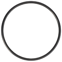 AGCO O-RING 70923809 Parts - True Ag & Turf