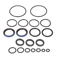 AGCO SEALS KIT 835951M91 Parts - True Ag & Turf