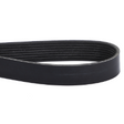 AGCO Belt 71401600 Parts - True Ag & Turf