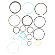 AGCO Seal Kit, Hydraulic Cylinder 72312880 Parts - True Ag & Turf