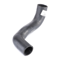 AGCO Hose, Lower Radiator Hose 3619054M1 Parts - True Ag & Turf