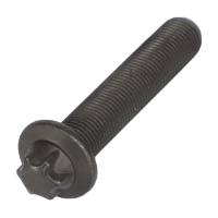 AGCO SCREW 4226968M1 Parts - True Ag & Turf