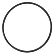 AGCO O-Ring 3704960M1 Parts - True Ag & Turf