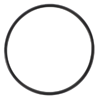AGCO O-Ring 3704960M1 Parts - True Ag & Turf